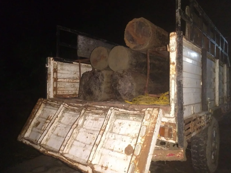 लालबकैया खोलाबाट ५ थान सालको काठ बरामद